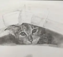猫❤️ネコ ねこ 原画 鉛筆画 色鉛筆画 絵画 手描き イラスト - メルカリ