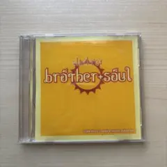 shelter brother soul CD