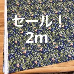 セール！2m moda生地ウィリアムモリス　アビュータス　紺