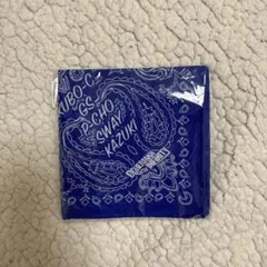 Item thumbnail for item 4685b755-c5dd-4e42-a3d2-956267b11e8d