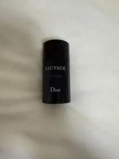 Dior SAUVAGE 香水(男性用)