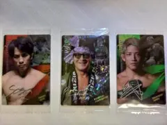 RIZIN ライジン ウエハース カード 3枚セット 榊原実行委員長含む