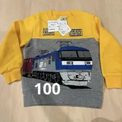 貨物トレーナー　100