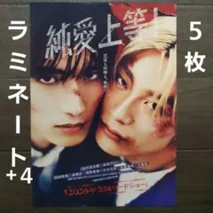 映画　純愛上等！　ラミネート+４　チラシ　フライヤー　５枚