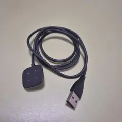Fitbit Versa 4 用マグネット充電ケーブル