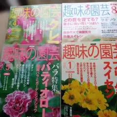 4冊　今日の園芸　趣味どき　花はいつでも楽しく　美しく　みているだけで楽しい