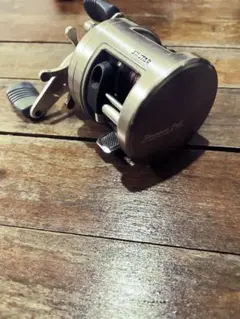 h5 SHIMANO CALCUTTA 100 ベイトリール 本体 - メルカリ