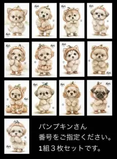 ステッカー　オシャレ犬パンプキンさん