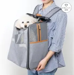 ペット用　リュックキャリー　グレー