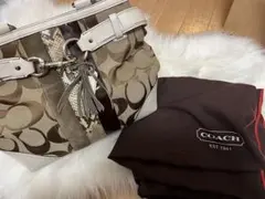 COACH コーチ ミニボストン 革 レザー パイソン 茶