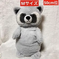 ニトリ Nウォームヌイグルミ アライグマ Q L ぬいぐるみ あらいぐま
