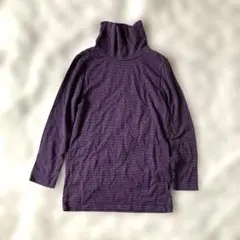 HEATTECH 長袖ハイネックカットソー 110cm 紫ストライプ