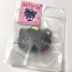 NCTWISH リク クリ ソウルコン MD キーホルダー