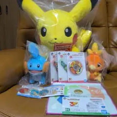 新品 ポケモン30周年記念 ぬいぐるみセット おかえり はじまり