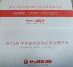 ビックカメラ お買物優待券 2000円分+コジマ お買物優待券1000円分