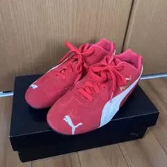 スピードキャット 23