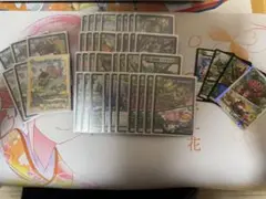 2026年最新】キャベッジ 緑単の人気アイテム - メルカリ