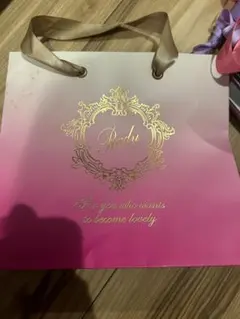 新品未使用Rady 紙袋 Rady 紙袋 ショッパー - メルカリ