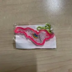 琵琶湖キーホルダー カプセルトイ