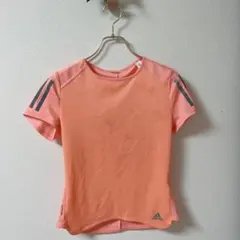 Item thumbnail for item 79580cbe-b966-43bd-a8c8-f5623cd2f4d5