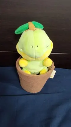 ポケモン Grassy Gardening ナエトル ぬいぐるみ - メルカリ
