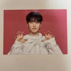 2025年最新】Follow again ホシ チェキの人気アイテム - メルカリ