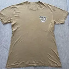 Fucking Awesome Tシャツ ブラウン Mサイズ