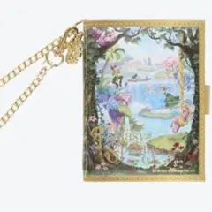 ファンタジースプリングス　パスケース　ファンダフルディズニー