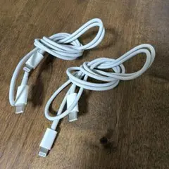 Apple純正 USB-C to Lightning ケーブル 2本セット