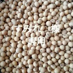 すみれ　様　専用