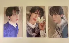 ソヌ タレントカード