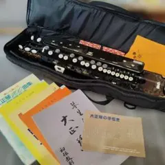Nardan ナルダン 電子大正琴 ケース付 美品 簡易音出し確認済 - メルカリ