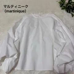 Item thumbnail for item 6447e119-facf-43a7-a968-4287ea04e467