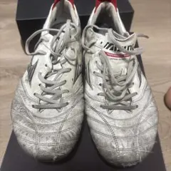 Mizuno Morelia Neo4