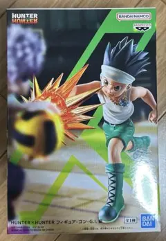 HUNTER×HUNTER フィギュア-ゴン-G.I.編