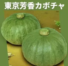 3854様 リクエスト 3点 まとめ商品