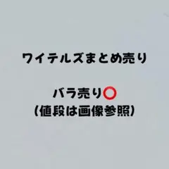 2026年最新】ワイテルズの人気アイテム - メルカリ