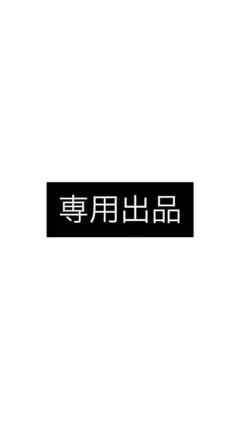 専用出品