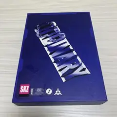 Stray Kids ODDINARY 通常版