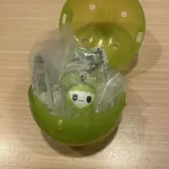 TWICE LOVELYS めじるしアクセサリー JEONGVELY