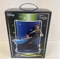 【未開封】ディズニーハッピーくじ　ピーターパン　ラストワン賞　フィギュア