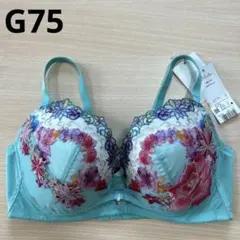 ダイアナ 3/4カップブラジャー C75 新品 - メルカリ
