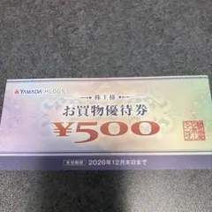 ヤマダホールディングス 株主様お買物優待券 500円券 - メルカリ