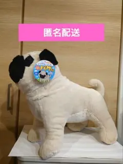 いつでもいっしょ！　パグくん　ぬいぐるみ