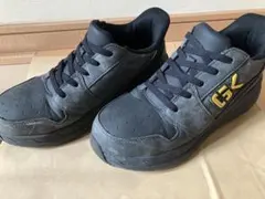 Item thumbnail for item ae646c6b-316e-4039-9beb-8b68626e777e