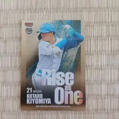 2024 bbm 清宮幸太郎　150シリアル