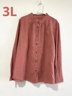 大きいサイズ 新品 襟フリル シャツ ブラウス 3L