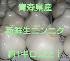 青森県産 新鮮生にんにく 約１キロ以上！のサムネイル