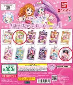 プリパラ キャラバッジコレクション ときめきプレゼントフォーユー 缶バ ガァルル プリパラ ときめきプレゼントフォーユー 缶バッジ ブロマイド