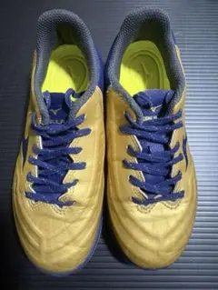 Item thumbnail for item c56c603b-a05d-46e8-8167-8584b2ff960a